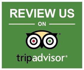 review-us-please